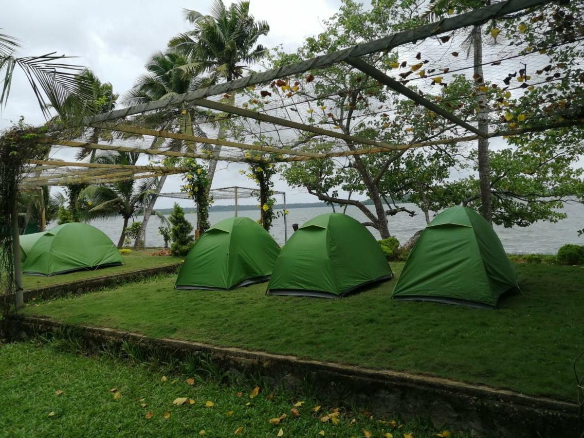 Munroe Eco Camp Campsite *